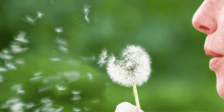 Ireland’s pollen count is on the rise – here are 7 ways to reduce your symptoms Ireland’s pollen count is on the rise – here are 7 ways to reduce your symptoms