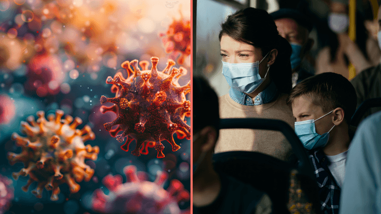 Scientist who predicted Covid says what source of next pandemic will be Scientist who predicted Covid says what source of next pandemic will be