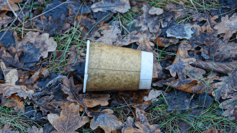 Ireland’s tidiest and most littered towns have been revealed Ireland’s tidiest and most littered towns have been revealed