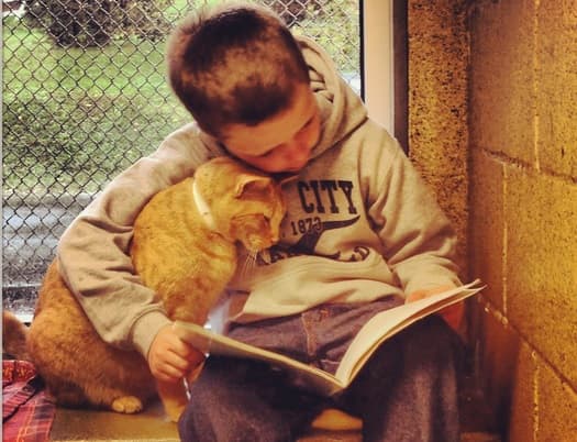 Children Reading Stories To Homeless Cats Might Just Be The Cutest Thing Ever… Children Reading Stories To Homeless Cats Might Just Be The Cutest Thing Ever…