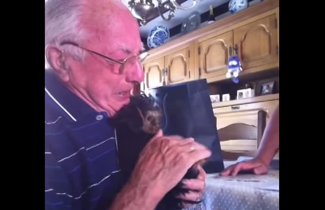 VIDEO: Family Buy Grieving Grandfather A Puppy And His Reaction Is Just Lovely… VIDEO: Family Buy Grieving Grandfather A Puppy And His Reaction Is Just Lovely…