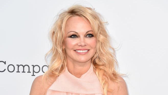A new tell-all Pamela Anderson Netflix documentary is coming A new tell-all Pamela Anderson Netflix documentary is coming