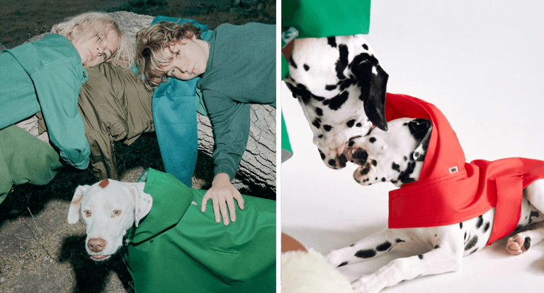 You can now get outfits for your dog at Zara You can now get outfits for your dog at Zara
