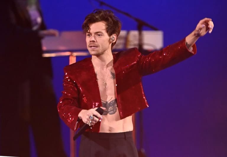 Concert-goer captures moment Harry Styles was hit in the face on stage in Austria Concert-goer captures moment Harry Styles was hit in the face on stage in Austria