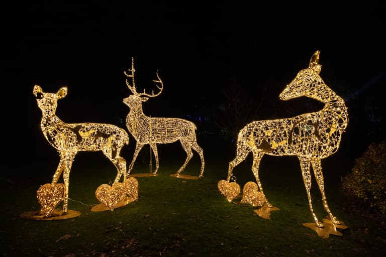 Wonderlights is the festive event you cannot miss this winter Wonderlights is the festive event you cannot miss this winter