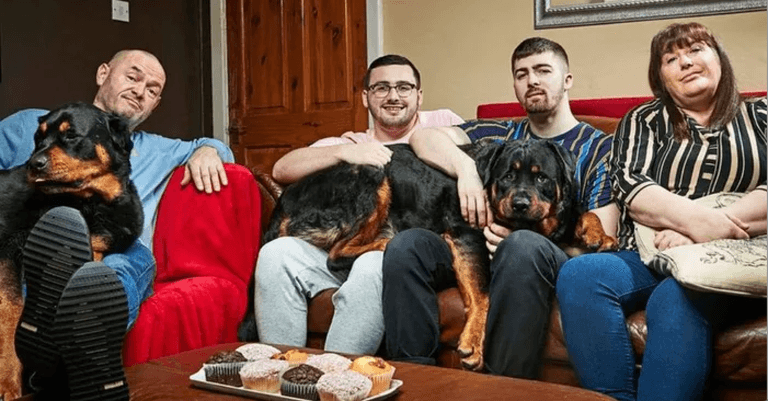 Gogglebox Malone family share heartbreaking news that fan-favourite Dave has passed away Gogglebox Malone family share heartbreaking news that fan-favourite Dave has passed away