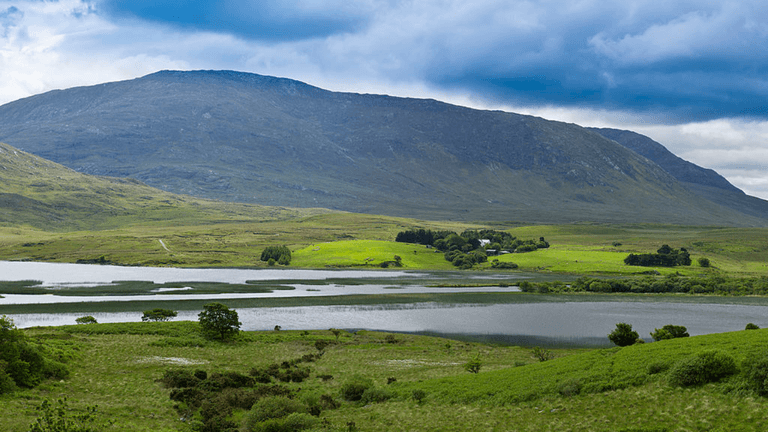 People with these Irish surnames could inherit a fortune People with these Irish surnames could inherit a fortune