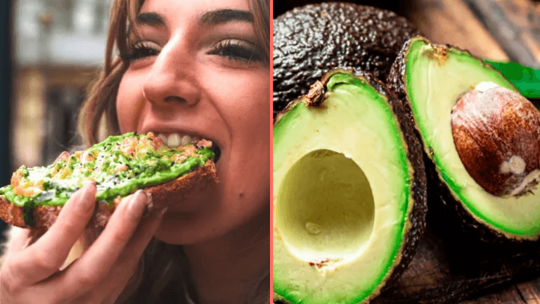 People only just realising avocados might not actually be vegan People only just realising avocados might not actually be vegan