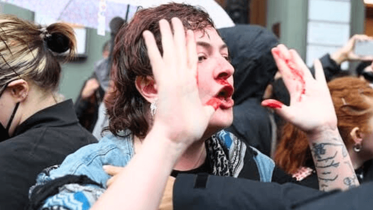 Irish ambassador to Germany ‘concerned’ after Irish protester punched by police Irish ambassador to Germany ‘concerned’ after Irish protester punched by police