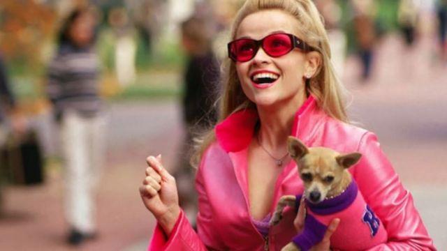 Legally Blonde 3 will catch up with Elle Woods as a mum Legally Blonde 3 will catch up with Elle Woods as a mum