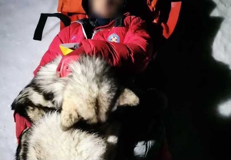 Hero dog saves hiker’s life by lying on top of him to keep him warm Hero dog saves hiker’s life by lying on top of him to keep him warm