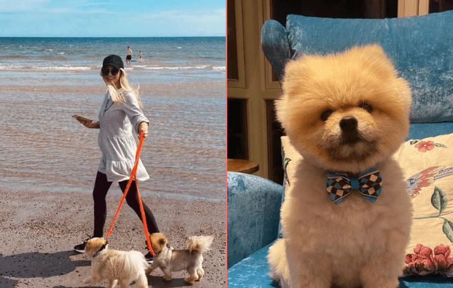 Rosanna Davison pays moving tribute after death of her dog Rosanna Davison pays moving tribute after death of her dog