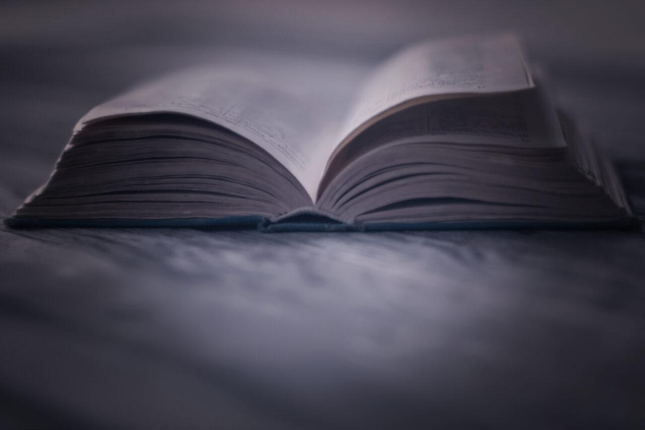 ‘If you love a good mystery thriller, Freida McFadden should be your new go-to author’