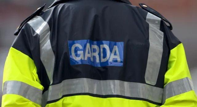 Gardaí issue public appeal after alleged assault of child in Dublin