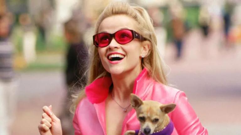 Legally Blonde musical announces UK and Ireland tour dates Legally Blonde musical announces UK and Ireland tour dates