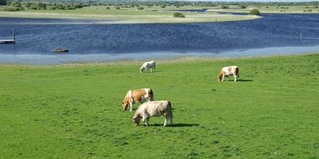 It Looks Offaly Nice – Londoners Head for Ireland to Escape the Olympics