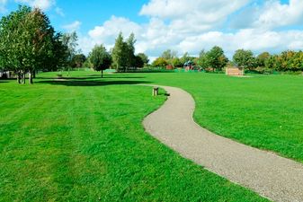 Feeling Good: It’s As Easy As A Walk In The Park