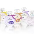 Pocket-friendly Perfumes from Essence – That Makes Scents!