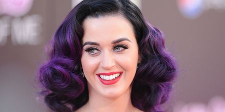 What a Cat-astrophe: Katy Perry Hires a Cat Whisperer. Yes, really.