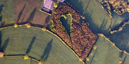 Farmer Makes Amazing Heart Memorial for his Late Wife