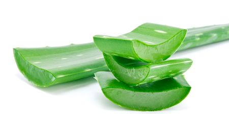 The Coolest Plant Around: Five Ways To Use Aloe Vera To Your Benefit