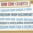 The Cow Charter – Avonmore Release Peak Fresh Campaign