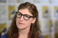 Big Bang Theory Actress Nearly Loses Thumb In a Los Angeles Car Crash