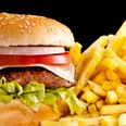 “Fatty Foods Can Cause Brain Damage!” Says Disturbing New Research