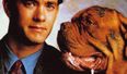 Woof Woof! These Pooches Broke Hollywood and Stole the Show!