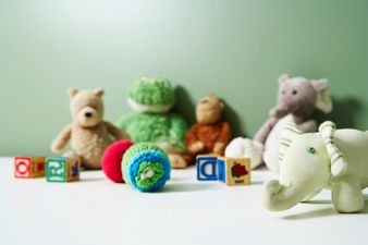 Are You a Big Kid at Heart? You’re Not Alone…