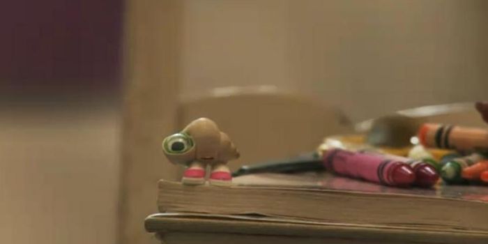 Think Snails Are Gross? Not After This Video!