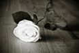 Irish Families Struggle To Cover The Cost Of Funerals For Their Loved Ones