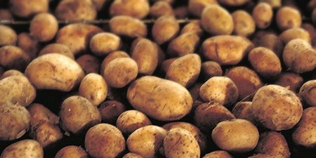 Food High Five – Five Reasons Potatoes Are Good For You