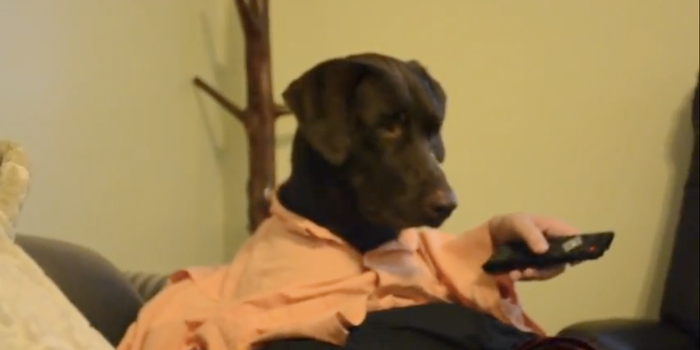 Video: Ruff Dog Day… “Getting Ready for the Day, Doggy Style”