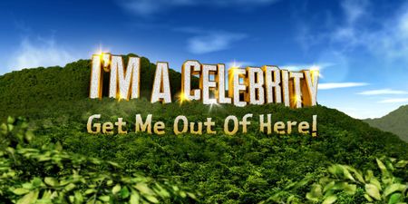 Have ‘I’m A Celebrity’ Fever Already? We Take A Look At Our Dream Jungle Dwellers!