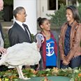 Gobble Gobble Gobble: Obama Saves Two Turkeys From Becoming A Delicious Thanksgiving Feast