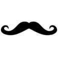 Tash-tastic! The Definitive Tome Dedicated To Those Who Groom Their Whiskers