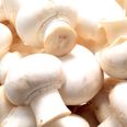 There’s Something About Mushrooms: Sales Soar As The On-Trend Veg Hits Dinner Tables Nationwide