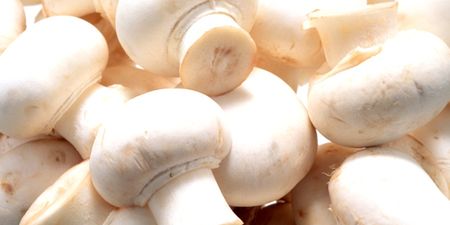 There’s Something About Mushrooms: Sales Soar As The On-Trend Veg Hits Dinner Tables Nationwide