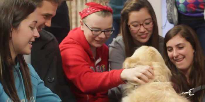 Remember The Puppy Study-Break Room? This Clip Shows The Healing Power Of A Good Cuddle