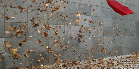 Gone With the Wind (Literally): Met Eireann Warns We’re Set for a Wild Weekend!