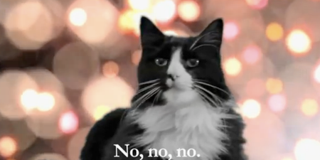 The Cat Who Couldn’t Stand Christmas… Henri: “The Worst Noël”