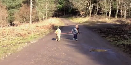 A Dog Is A Toddler’s Best Friend… And They Know The Importance Of A Puddle
