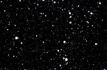 Shiver Me Timbers: The Top 10 Snow Films to Warm You Up