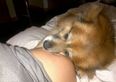 P-Awww: Star Shares Adorable Baby Bump Snap on Twitter