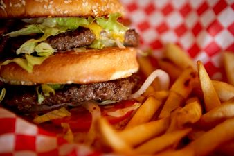 Scandal Continues: Popular Fast Food Chain Admits To Horsemeat Burgers
