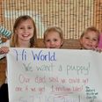 The Power Of One Million Likes: Sisters Prove Dad Wrong With Viral Puppy Campaign
