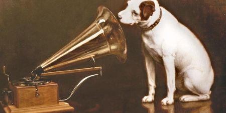 Top Dog The Latest Victim Of The Recession, As HMV Could Close Doors