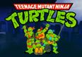 Meet The New April O’Neil – Actress Cast in Teenage Mutant Ninja Turtles Movie