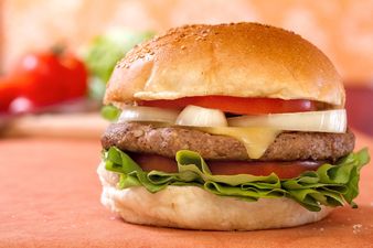 Horsing Around: Irish Officials Knew About Horse Meat Scandal For Weeks Before They Did Anything